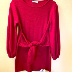 NWOT Perfectly pretty balloon sleeves tie front mini dress